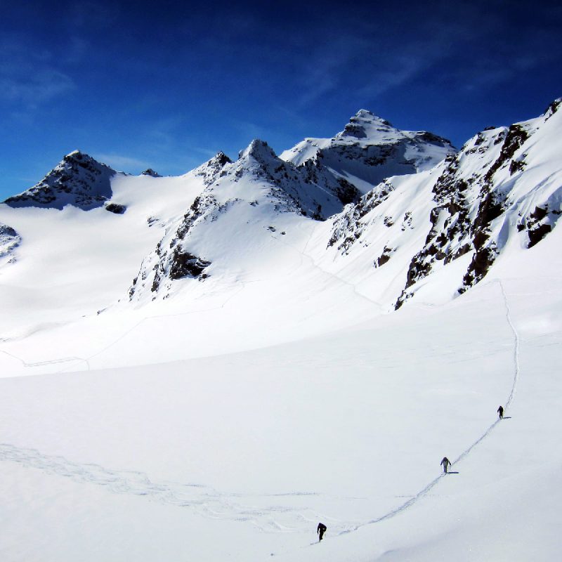 lacet blanc - embout bleu foncé