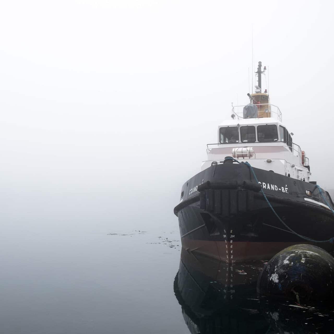 lacet blanc - embout noir