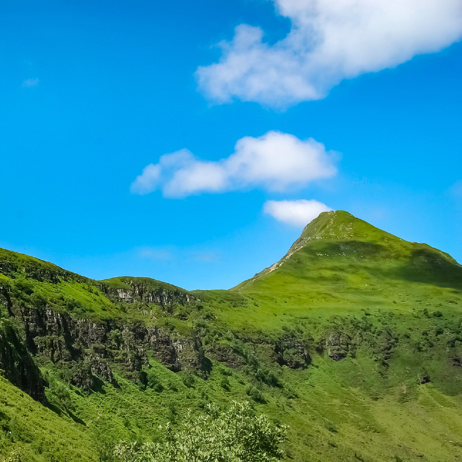 lacet blanc - embout vert